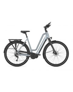 Gazelle Chamonix T10 HMS
