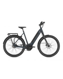 Gazelle Ultimate C8+ HMB Belt